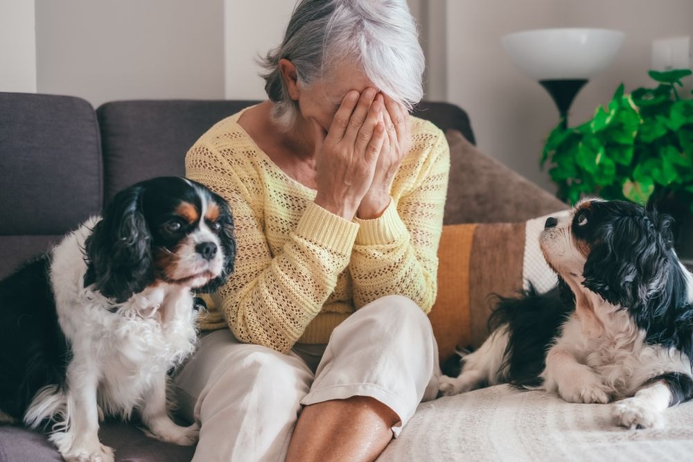Family Law changes for couple with pets